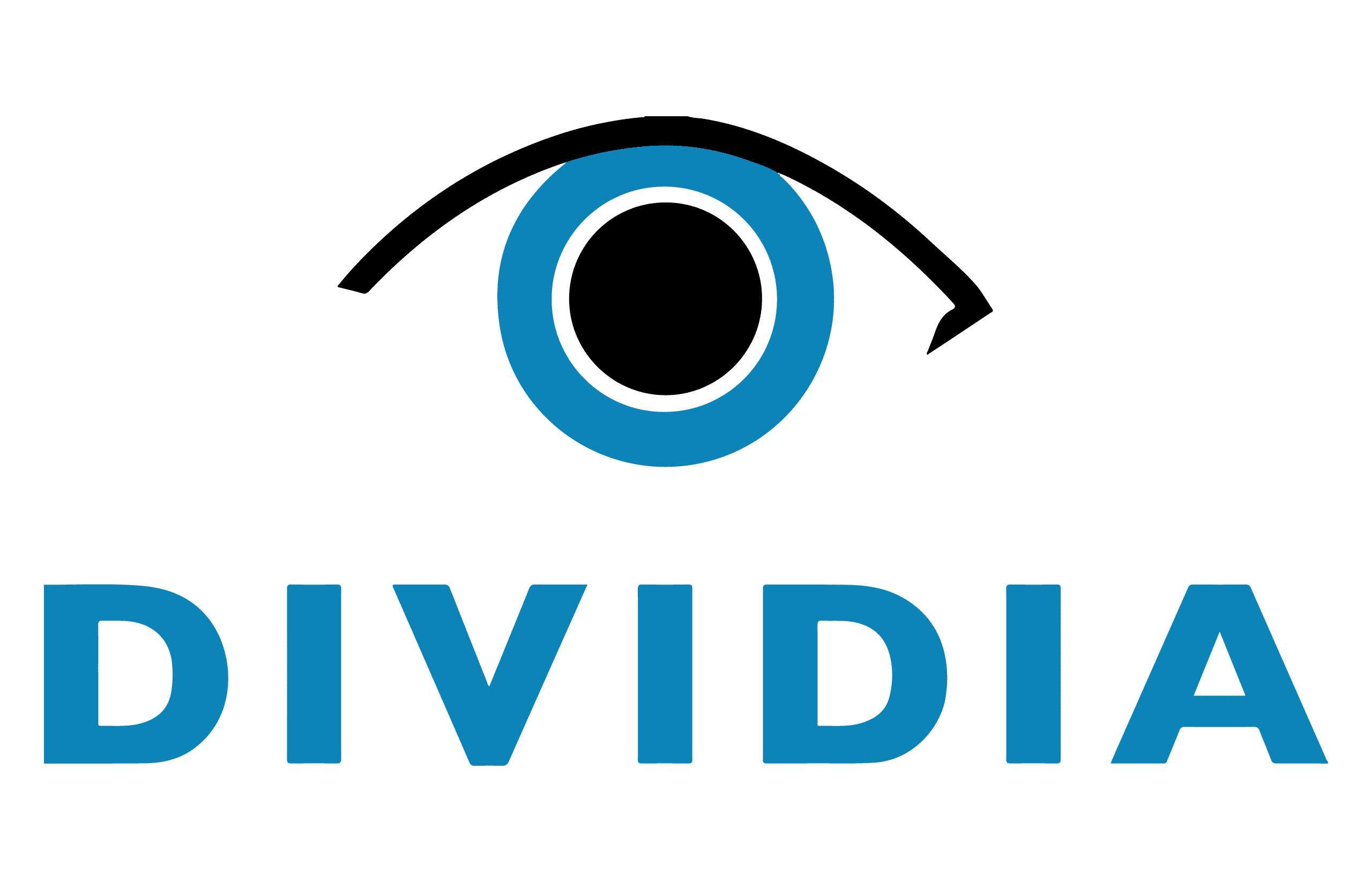 Dividia Technologies logo